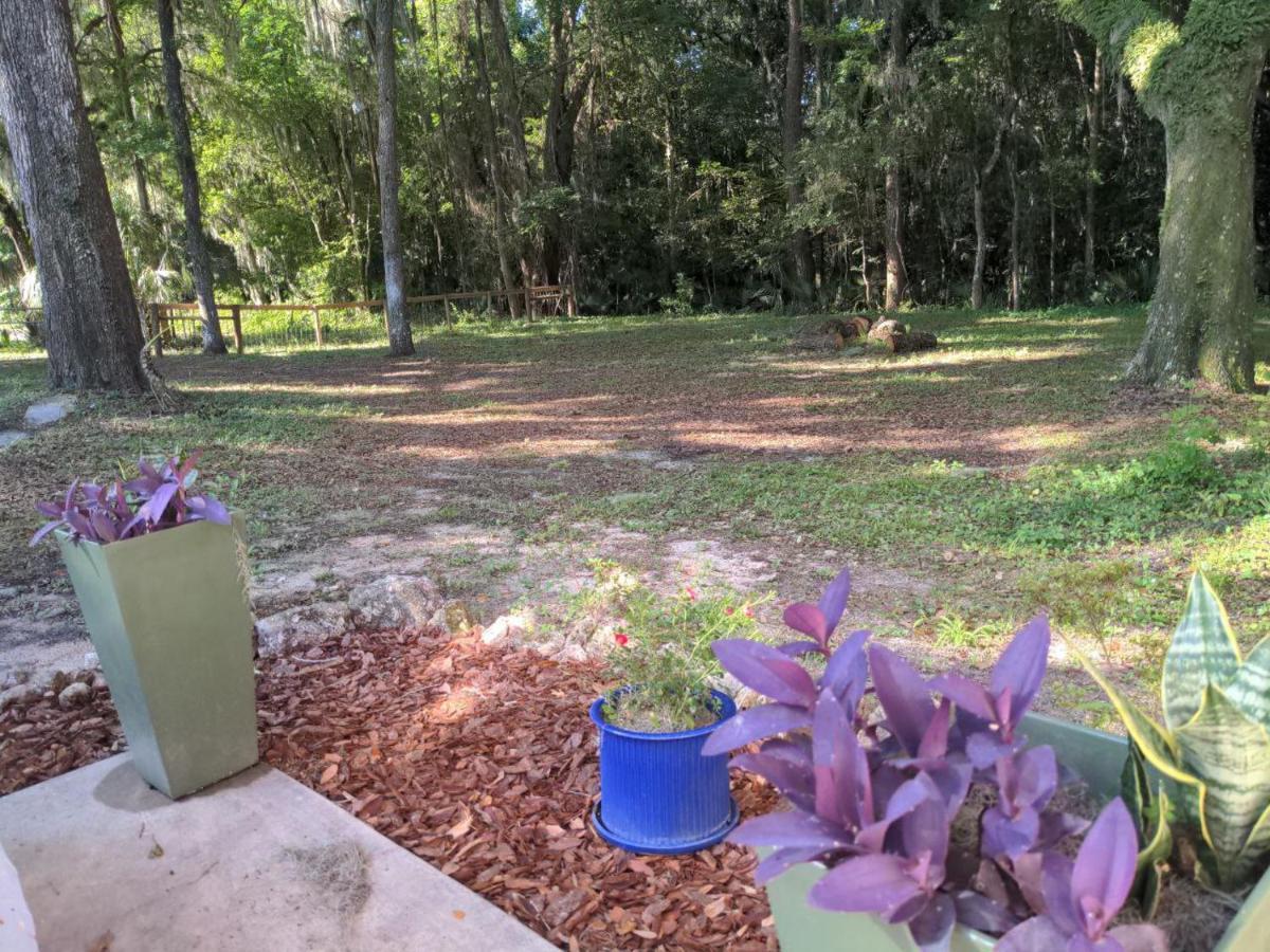 Micanopy Countyline Cottages Dış mekan fotoğraf